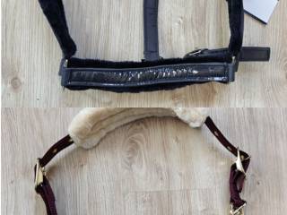 Kantary Hv polo full