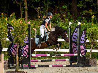 Bomboodporny  kucyk Huragan