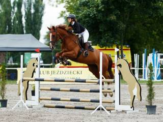 Silna i grzeczna Nauczycielka
