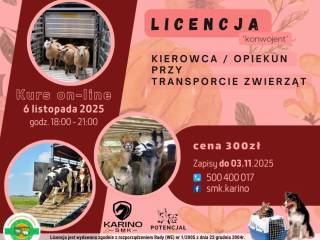 Licencja