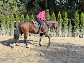 Przyszłościowy wałach