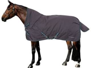 derka Felix Buhler 4in1, Highneck, 1200 DEN, fioletowa, r. 155 cm, + wkład 100 g, padokowa, jak nowa