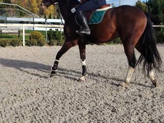 Na sprzedaż: H Mighty Boy