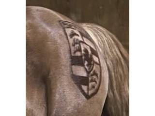 Maszynka do strzyżenia Liveryman Harmony Plus