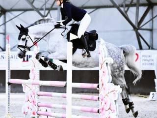 ❗️Idealna do wprowadzenia w sport❗️