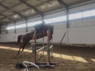 4latek z bardzo dużymi możliwościami skokowymi