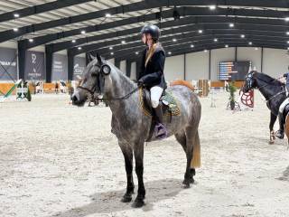 Kucyk connemara idealny dla dziecka