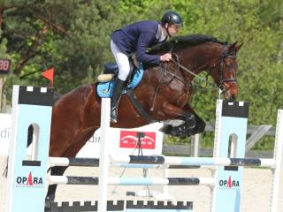 DOŚWIADCZONA KLACZ DO SPORTU SKOKI/WKKW