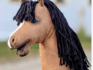 Hobby horse