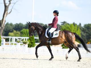 Na sprzedaż - De Never