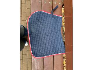 Sprzedam Czaprak FULL