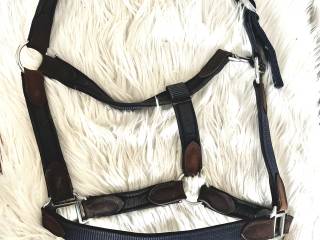 Granatowy kantar cob ze skórzanymi wstawkami