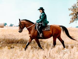 Klacz małopolska Avia