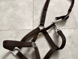 Brązowy kantar KAVALKADE Ecoline