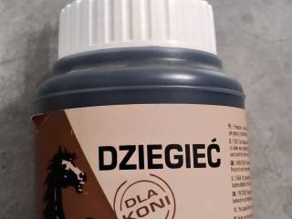 Dziegieć