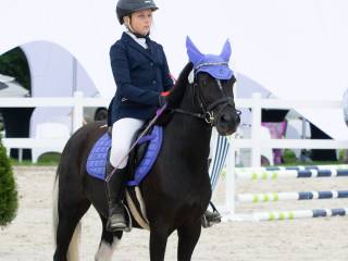 Wyjątkowa klacz kucyka Rainbow