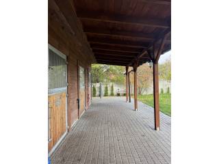 Wolne boksy SZCZECINEK