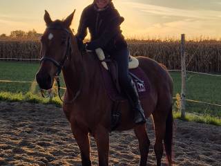 Zapraszam do dzierżawy/współdzierżawy koni