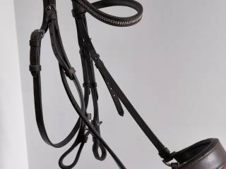 Ogłowie claridge house Full brązowe Hanowerskie