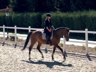 14 letnia bomboodporna klacz