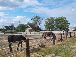 Pensjonat wolne boksy dla koni