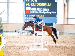 Irlandzki, Niepowtarzalny, wszechstronny Kuc gr D do dużego sportu.