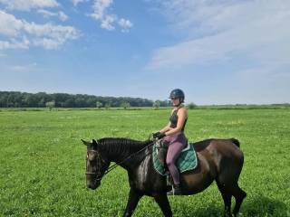 Klacz Śląska Księga Główna