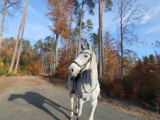 Siwek szuka współdzierżawcy
