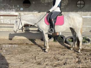 Klacz 19 l 100% bezpieczna 151 cm