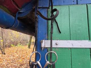 Ogłowie bez nachrapnika z cyganką