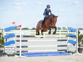 Wałaszek na wysokie konkursy