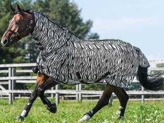 derka Thermo Master Zebra Combo, r. 145 cm, siatkowa, przeciw owadom, z kapturem, jak nowa