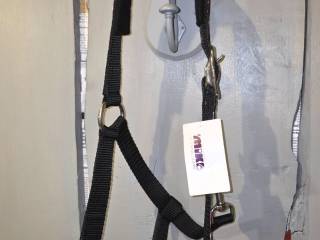 Czarny kantar z różowymi kwiatkami COB