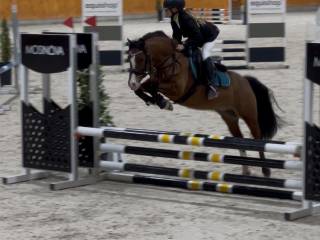 Na sprzedaż POPSTERS WISE GUY