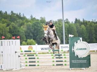 Rewelacyjna klacz Zangersheide dla młodzika/ juniora/dziecka/amatora/profesjonalisty