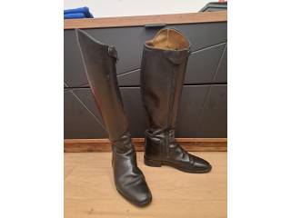 Cavallo Grand Prix plus roz 38. 5/37/50