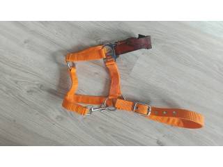 Kantar ze skórzanym nachrapnikiem