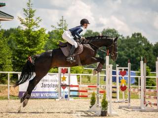 Świetny koń do hipoterapii/towarzystwa/w tereny