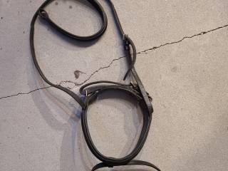 Nachrapnik i naczółek