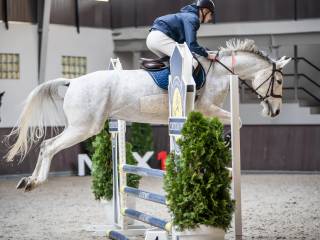Klacz na pierwsze starty lub jako koń rodzinny-sprzedaż/wymiana