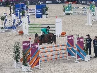 Przyjmę konie w trening