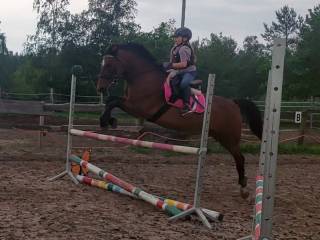 Kuc profesor d grupa