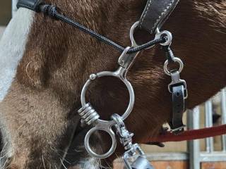 Sprzedam praktycznie nowe wędzidło