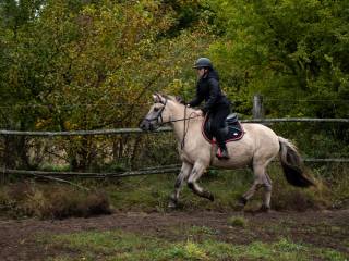 Super kucyk do rekreacji