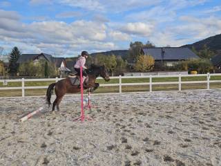 Klacz huculska do małego sportu, ambitnej rekreacji.