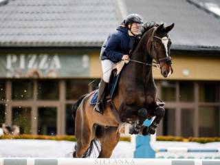 Profesor po wysokim sporcie
