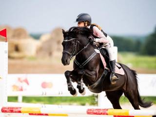 Kuc do sportu, doświadczony w DiM, HMP