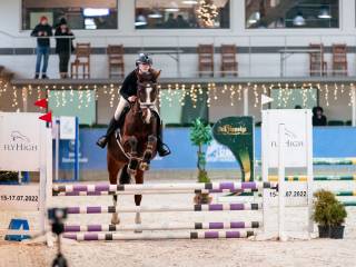 Wałach do ambitnej rekreacji