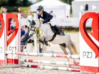 Wspaniała 7 letnia klacz A0, super kuc Paaskamp's Piershil