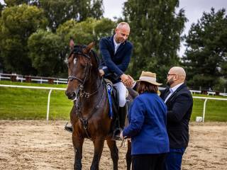 9-letnia klacz do wygrywania!